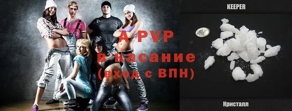 стафф Аркадак