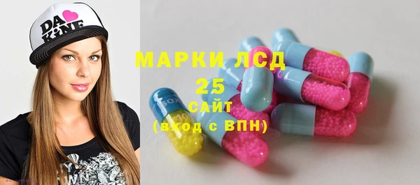 стафф Аркадак