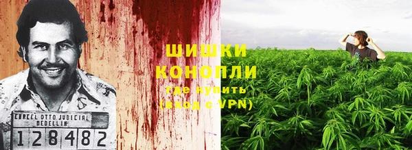 стафф Аркадак
