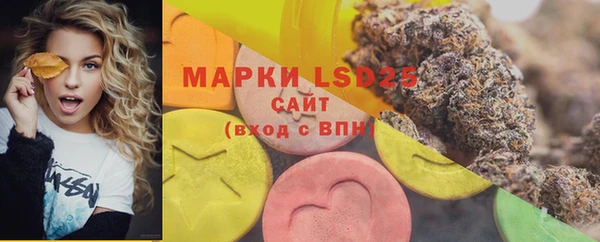 стафф Аркадак