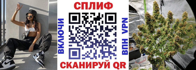 Каннабис White Widow OMG как войти Чаплыгин